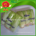 Chinese Big Baby Cabbage(three pack) green vegetables